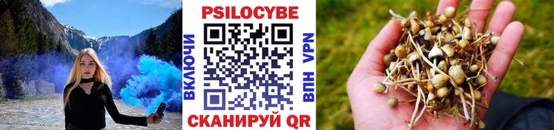 Псилоцибиновые грибы GOLDEN TEACHER  darknet какой сайт  Саяногорск 